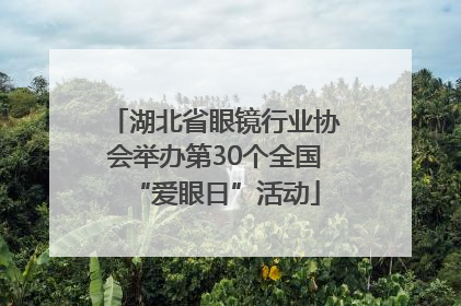 湖北省眼镜行业协会举办第30个全国“爱眼日”活动