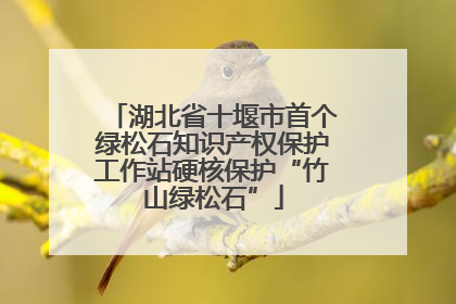 湖北省十堰市首个绿松石知识产权保护工作站硬核保护“竹山绿松石”