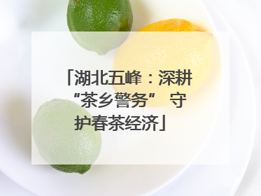湖北五峰：深耕“茶乡警务” 守护春茶经济