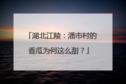 湖北江陵：潘市村的香瓜为何这么甜？