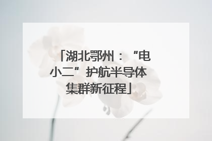 湖北鄂州：“电小二”护航半导体集群新征程