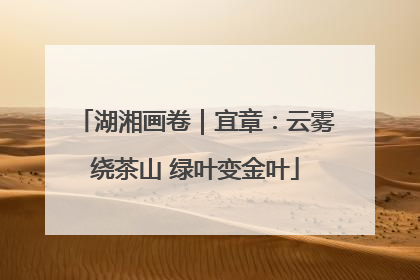 湖湘画卷｜宜章：云雾绕茶山 绿叶变金叶