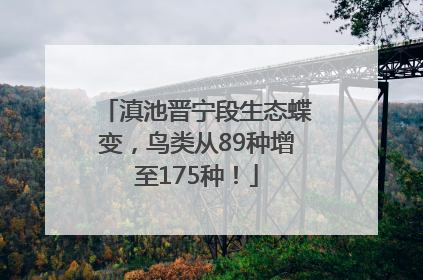 滇池晋宁段生态蝶变，鸟类从89种增至175种！