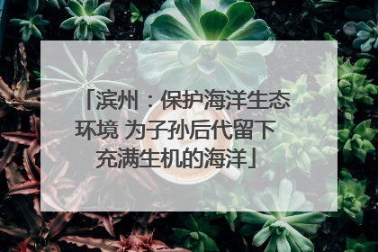 滨州：保护海洋生态环境 为子孙后代留下充满生机的海洋