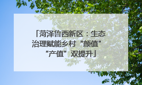菏泽鲁西新区：生态治理赋能乡村“颜值”“产值”双提升