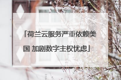 荷兰云服务严重依赖美国 加剧数字主权忧虑