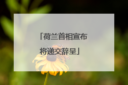 荷兰首相宣布将递交辞呈