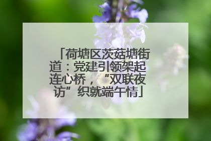 荷塘区茨菇塘街道：党建引领架起连心桥，“双联夜访”织就端午情