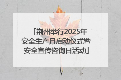 荆州举行2025年安全生产月启动仪式暨安全宣传咨询日活动