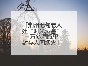 荆州七旬老人建“时光酒窖” 三万多酒瓶里封存人间烟火