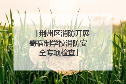 荆州区消防开展寄宿制学校消防安全专项检查