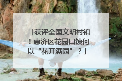 获评全国文明村镇！惠济区花园口镇何以“花开满园”？