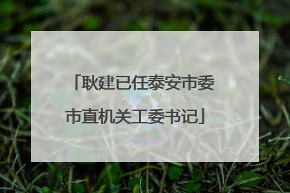 耿建已任泰安市委市直机关工委书记