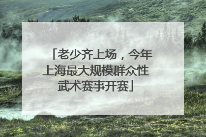 老少齐上场，今年上海最大规模群众性武术赛事开赛