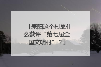 耒阳这个村靠什么获评“第七届全国文明村”？