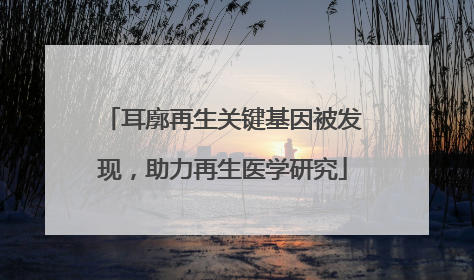 耳廓再生关键基因被发现，助力再生医学研究