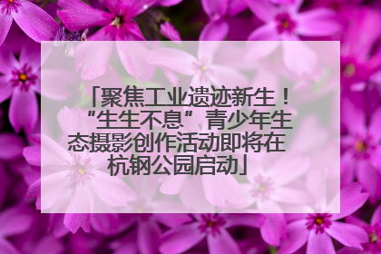 聚焦工业遗迹新生！“生生不息”青少年生态摄影创作活动即将在杭钢公园启动