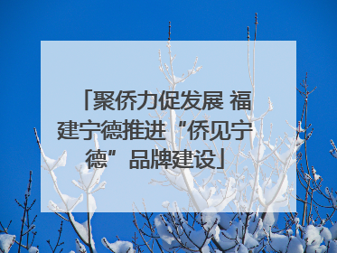 聚侨力促发展 福建宁德推进“侨见宁德”品牌建设