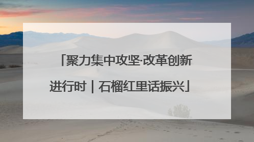 聚力集中攻坚·改革创新进行时｜石榴红里话振兴