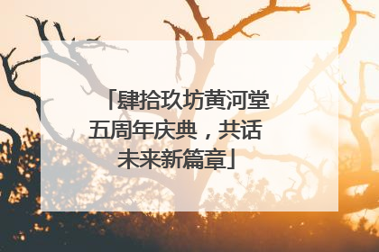 肆拾玖坊黄河堂五周年庆典，共话未来新篇章