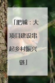 肥城：大项目建设串起乡村振兴链