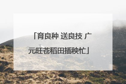 育良种 送良技 广元旺苍稻田插秧忙