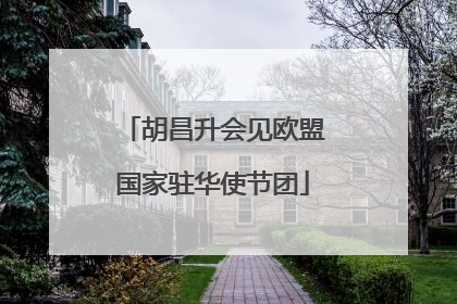 胡昌升会见欧盟国家驻华使节团