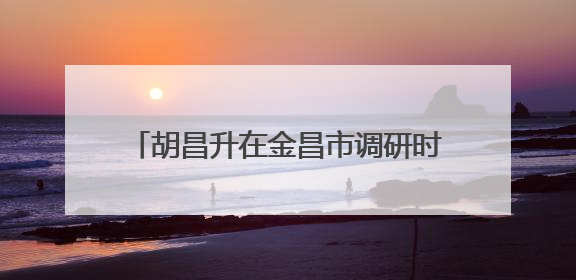胡昌升在金昌市调研时强调：推进创新链与产业链深度融合 为高质量发展塑造新动能新优势