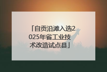 自贡沿滩入选2025年省工业技术改造试点县