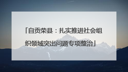 自贡荣县：扎实推进社会组织领域突出问题专项整治