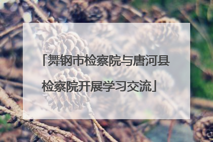 舞钢市检察院与唐河县检察院开展学习交流