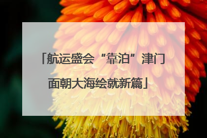 航运盛会“靠泊”津门 面朝大海绘就新篇