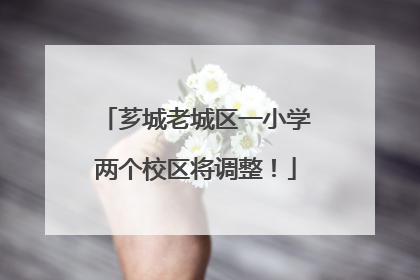 芗城老城区一小学两个校区将调整！