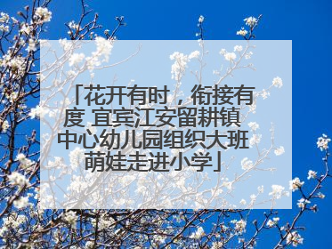 花开有时，衔接有度 宜宾江安留耕镇中心幼儿园组织大班萌娃走进小学