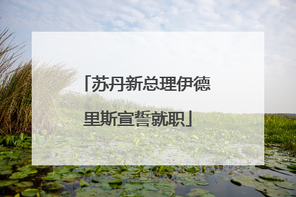 苏丹新总理伊德里斯宣誓就职