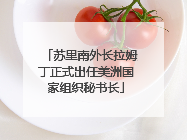 苏里南外长拉姆丁正式出任美洲国家组织秘书长