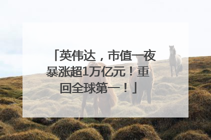 英伟达，市值一夜暴涨超1万亿元！重回全球第一！
