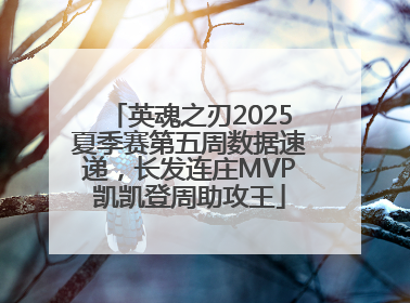 英魂之刃2025夏季赛第五周数据速递，长发连庄MVP凯凯登周助攻王