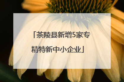 茶陵县新增5家专精特新中小企业