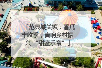 范县城关镇：香瓜丰收季，奏响乡村振兴 “甜蜜乐章”