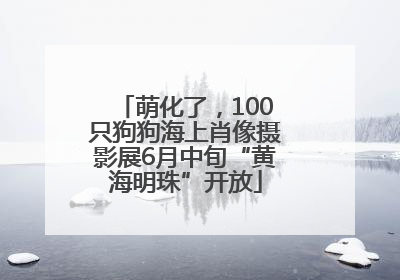 萌化了，100只狗狗海上肖像摄影展6月中旬“黄海明珠”开放