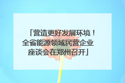 营造更好发展环境！全省能源领域民营企业座谈会在郑州召开