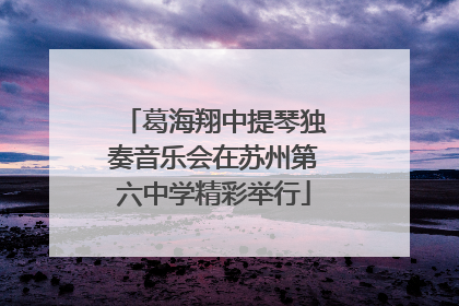 葛海翔中提琴独奏音乐会在苏州第六中学精彩举行