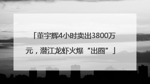 董宇辉4小时卖出3800万元，潜江龙虾火爆“出圈”