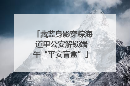 藏蓝身影穿粽海 道里公安解锁端午“平安盲盒”