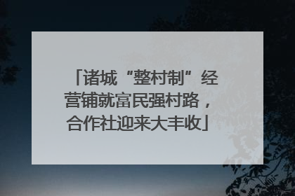 诸城“整村制”经营铺就富民强村路，合作社迎来大丰收