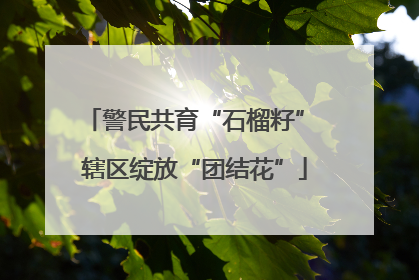 警民共育“石榴籽” 辖区绽放“团结花”