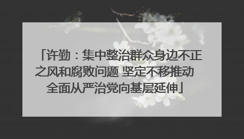 许勤：集中整治群众身边不正之风和腐败问题 坚定不移推动全面从严治党向基层延伸