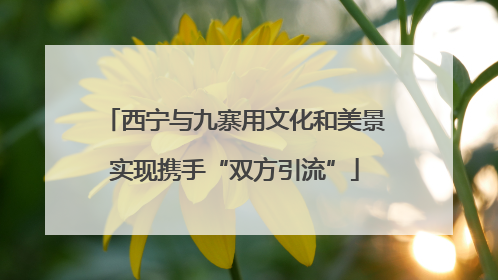 西宁与九寨用文化和美景实现携手“双方引流”