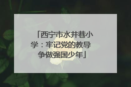 西宁市水井巷小学：牢记党的教导 争做强国少年